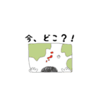 くまコロ（個別スタンプ：6）