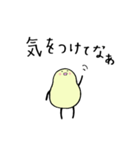 ゆるっと三重弁（個別スタンプ：5）