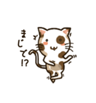 Resentful cat PUPU (japanese)（個別スタンプ：15）