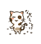 Resentful cat PUPU (japanese)（個別スタンプ：20）