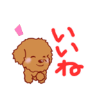 トイプードル 犬スタンプ2（個別スタンプ：1）