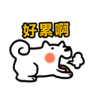NIKU CEO the most epic Akita（個別スタンプ：8）