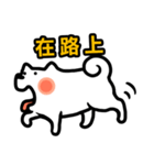 NIKU CEO the most epic Akita（個別スタンプ：22）