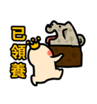 NIKU CEO the most epic Akita（個別スタンプ：40）