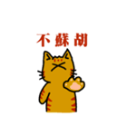 cats general talk-little tiger（個別スタンプ：11）