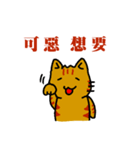 cats general talk-little tiger（個別スタンプ：22）