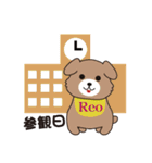Pretty Leo（個別スタンプ：38）