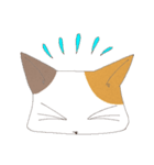 ねこ変顔（個別スタンプ：21）