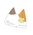 ねこ変顔（個別スタンプ：24）