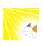 ねこ変顔（個別スタンプ：33）