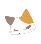 ねこ変顔（個別スタンプ：38）