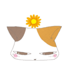 ねこ変顔（個別スタンプ：39）