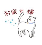 猫だ～い好き！しろちゃん！（個別スタンプ：9）