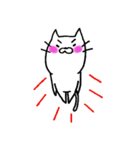 しろ猫（個別スタンプ：13）