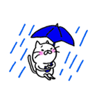 しろ猫（個別スタンプ：21）