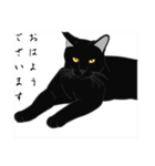 リアル系黒猫の野性（個別スタンプ：1）
