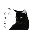 リアル系黒猫の野性（個別スタンプ：2）