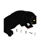 リアル系黒猫の野性（個別スタンプ：5）
