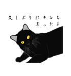リアル系黒猫の野性（個別スタンプ：6）