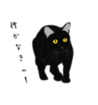 リアル系黒猫の野性（個別スタンプ：8）
