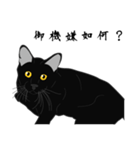 リアル系黒猫の野性（個別スタンプ：11）