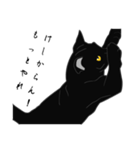 リアル系黒猫の野性（個別スタンプ：12）