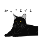 リアル系黒猫の野性（個別スタンプ：13）