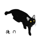 リアル系黒猫の野性（個別スタンプ：21）