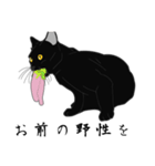 リアル系黒猫の野性（個別スタンプ：25）