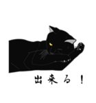 リアル系黒猫の野性（個別スタンプ：27）