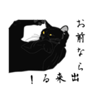 リアル系黒猫の野性（個別スタンプ：28）