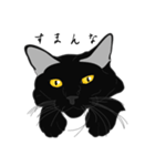 リアル系黒猫の野性（個別スタンプ：29）