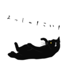 リアル系黒猫の野性（個別スタンプ：30）