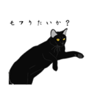 リアル系黒猫の野性（個別スタンプ：31）