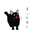リアル系黒猫の野性（個別スタンプ：32）