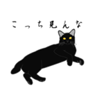 リアル系黒猫の野性（個別スタンプ：34）