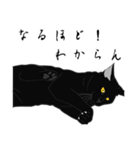 リアル系黒猫の野性（個別スタンプ：40）