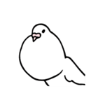 鳩胸ポロピン（個別スタンプ：2）