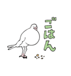 鳩胸ポロピン（個別スタンプ：8）