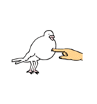 鳩胸ポロピン（個別スタンプ：9）