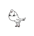 鳩胸ポロピン（個別スタンプ：16）