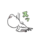 鳩胸ポロピン（個別スタンプ：24）