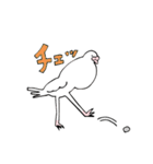 鳩胸ポロピン（個別スタンプ：25）