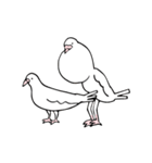 鳩胸ポロピン（個別スタンプ：31）