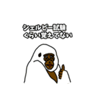 レインボーマウンテン（個別スタンプ：10）
