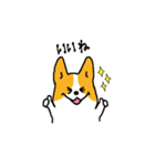 コーギー たろう（個別スタンプ：3）