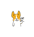 コーギー たろう（個別スタンプ：5）