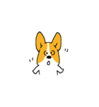 コーギー たろう（個別スタンプ：10）