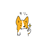 コーギー たろう（個別スタンプ：11）