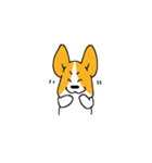 コーギー たろう（個別スタンプ：12）